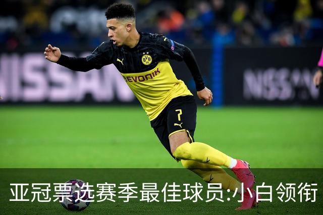 亚冠票选赛季最佳球员:小白领衔 奥古比埃拉上榜